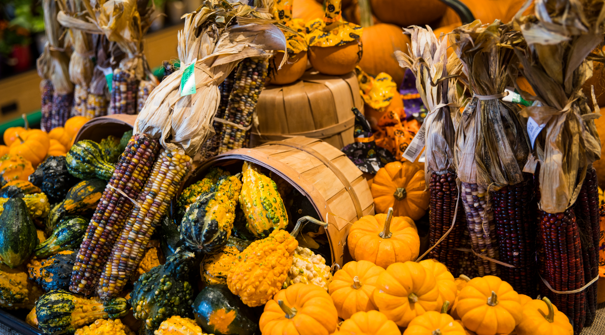 Fall Decorative Pumpkins and Corns on display