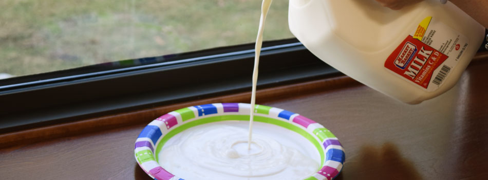 Market Basket whole milk being poured onto a paper plate