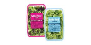 Little Leaf Salads – Rubin Bros Produce Corp. - NYC Full Service Produce  Distribution - Hunts Point Produce Market