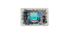 Jumbo Blueberries 9.8 oz.