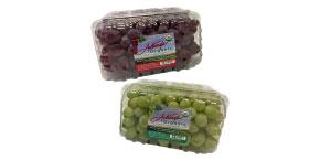 https://www.shopmarketbasket.com/sites/default/files/styles/flyer_thumb/public/products/2023-08/anthonys-organic-grapes.jpg?itok=S7cj4lKk