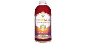gts kombucha 48 oz