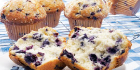 Jumbo Muffins