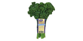 fresh broccolini
