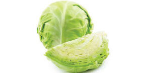 fresh green cabbage
