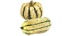 sweet dumpling or delicata squash