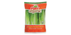 Organic Romaine Hearts Foxy 3 Pack