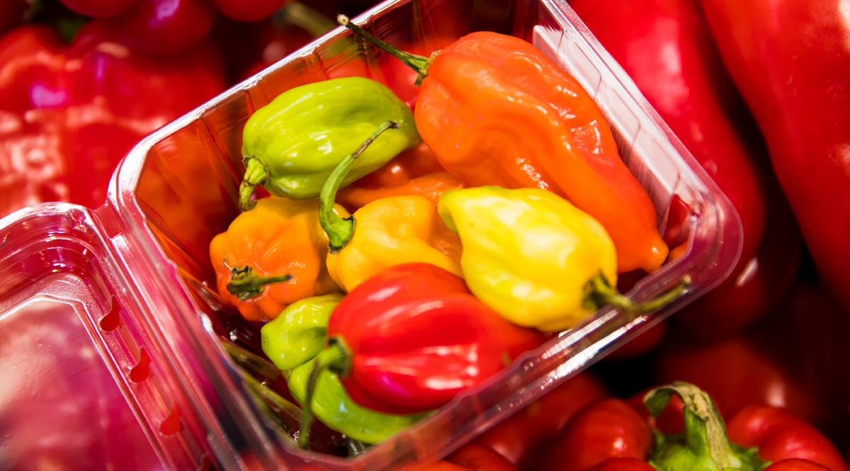 Habanero Peppers