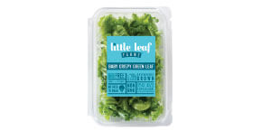 little leaf farms salads