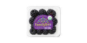 Organic Blackberries
