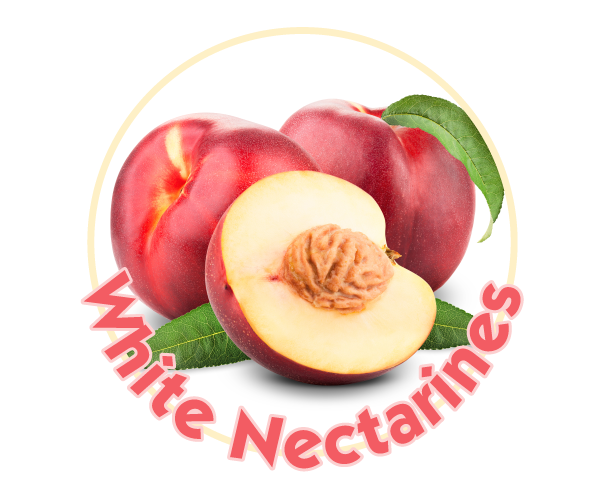 White Nectarines