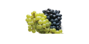 Green Black Seedless Grapes