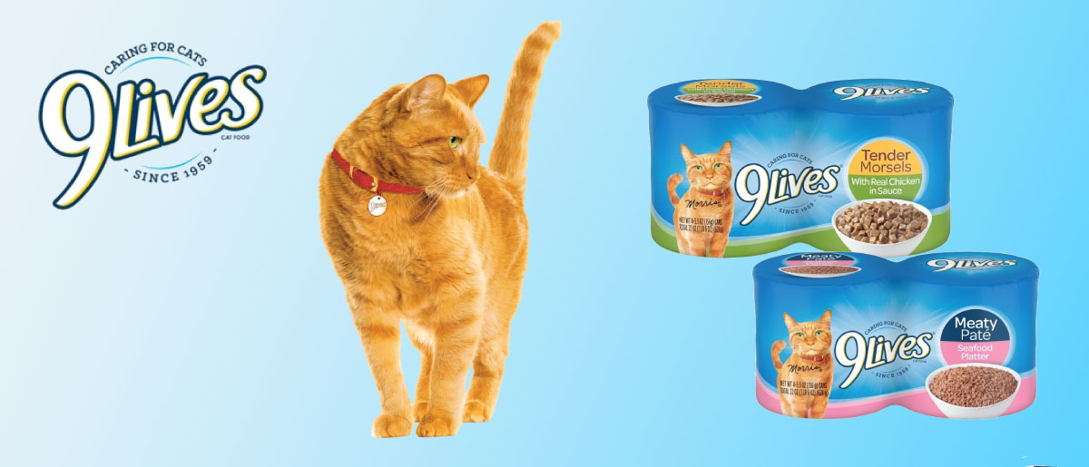 9 Lives 4 pack cat food