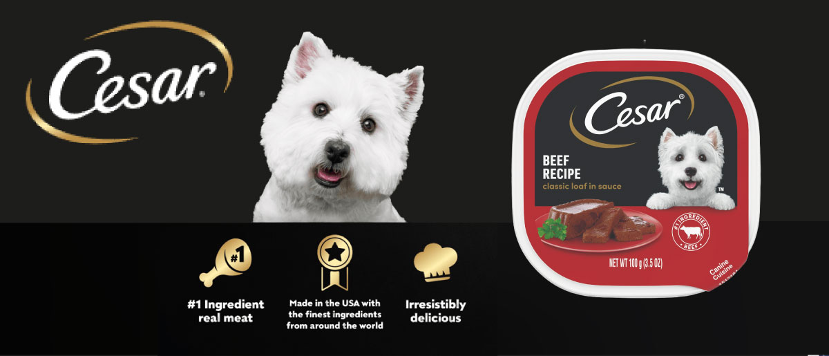 Cesar Small Dog Gourmet Dog Food