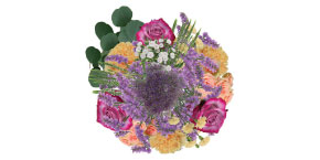 15 stems