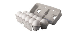 Jumbo White Eggs