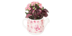 Teapot Garden