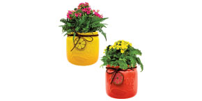 Citrus Floral Garden