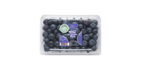 Mighty Blues Jumbo Blueberries