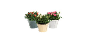 Mini Roses 5 Inch Wooden Basket