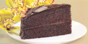 Chocolate Cake Slice