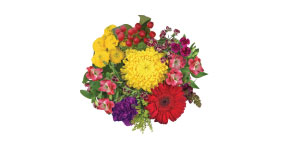 Fall Breeze Bouquet 11 stems