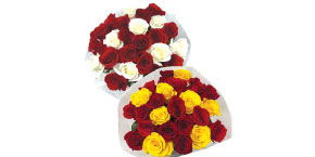 Red and Yellow or Red and White Roses