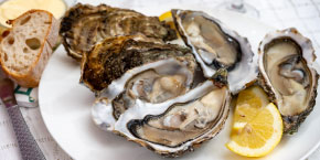 Fresh Oysters