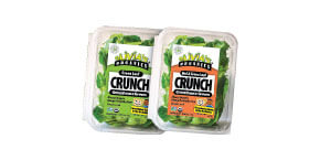 Olivia's Crunch Salad