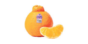 Peelz Dekopon