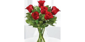 Red or Assorted Roses Half dozen