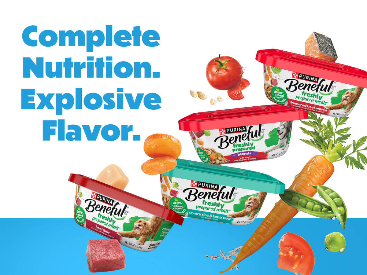 Complete Nutrition. Explosive Flavor.