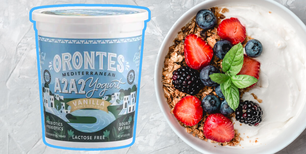 Orontes yogurt