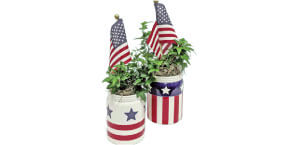 Star Spangled Mason Jar