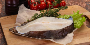 wolffish