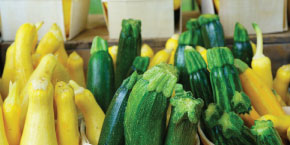 zucchini summer squash