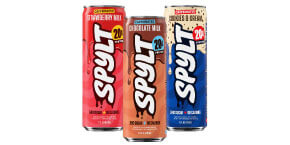 Spylt